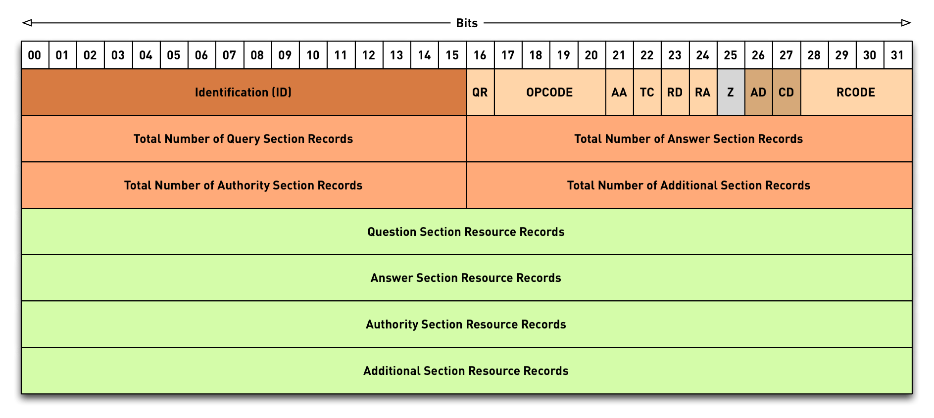 DNS-Components-DNS-packet.png